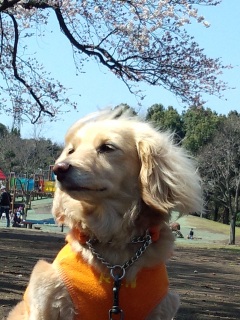 Ă邯