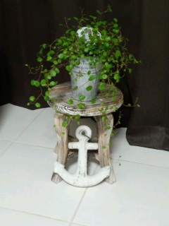 (untitled)