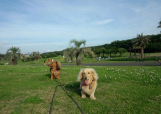 (untitled)