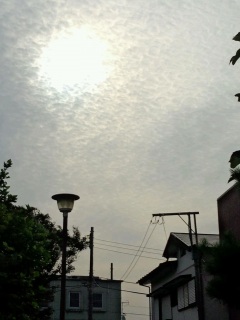 (untitled)