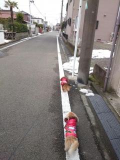 vX̎U