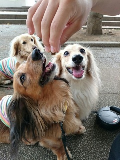 A`(^w^)
