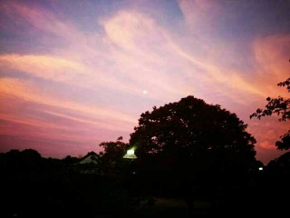 (untitled)