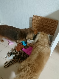 U炩܂(^w^)