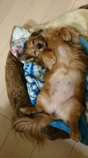 (^w^)