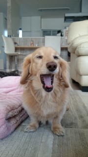 ӂ`