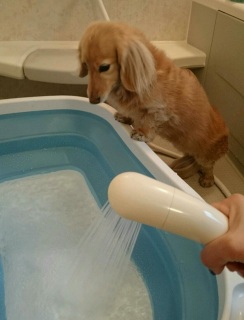 ꂿ͂₭[I