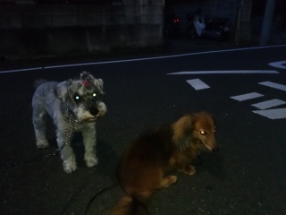 ڂ|(^^;