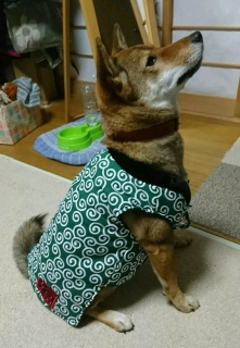 (^w^)