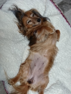 ZZZzzz