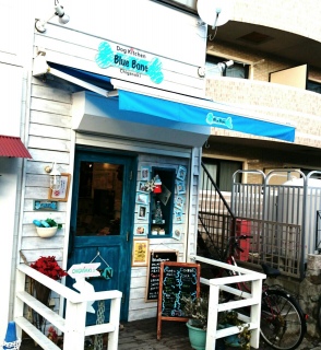 bluebone
