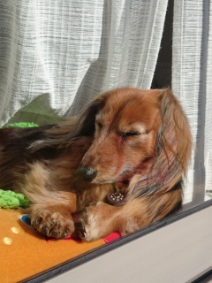 ZZZzzz