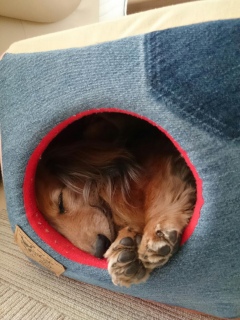 悭QĂ`