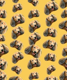 (^w^)