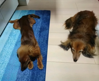 I