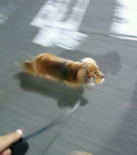 uĖ