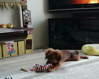 UIĂ
