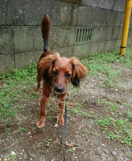 HȂI