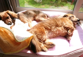 ҁ`zzz