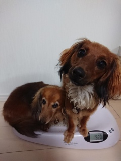 (^w^)
