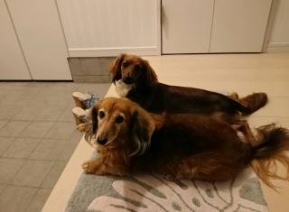 o}