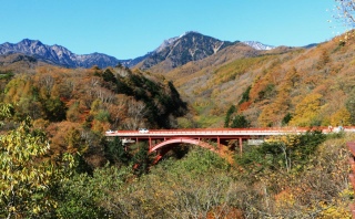 勴