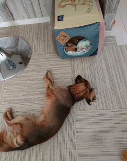 ΂ŐQ(^w^)