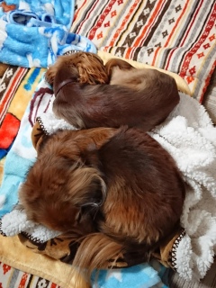 zzZ