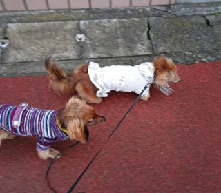 Jł炨U