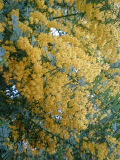 ~U