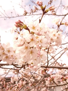 炢I