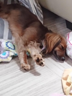 蕂Ă(^w^)