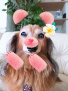 snow񂸂ɂ͔