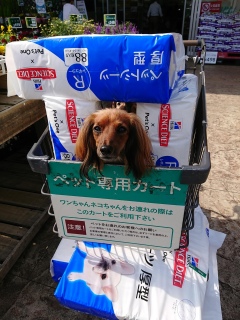 V[c̊Ԃ炱ɂ