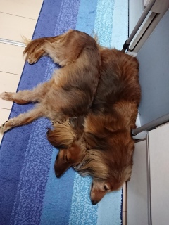 ݂ȂłU
