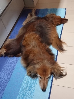 ȂĂ
