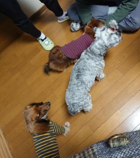 ~񂿂Ɋ蓹