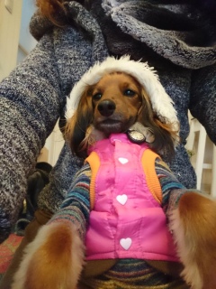 ӂӂ(^w^)