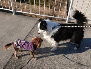 �E�B�������ɂ������