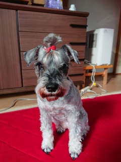 @Oɖʉ(^^)
