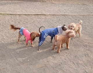 Ȃ悵