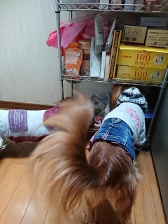 t[huꔭ