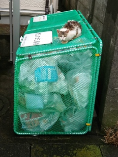̂ĂȂ(^^;